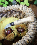 couteau opinel N°7 châtaigne ail et dénoyautage - réf. AIGN