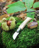 couteau opinel N°7 châtaigne ail et dénoyautage - réf. AIGN