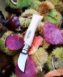 couteau opinel N°7 châtaigne ail et dénoyautage - réf. AIGN