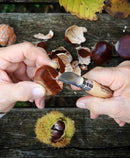 couteau opinel N°7 châtaigne ail et dénoyautage - réf. AIGN