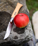 COUTEAU N°9 OPINEL INOX AINOX HETRE