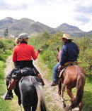WOMEN'S BREATHABLE VEST WILET CINNABAR RED